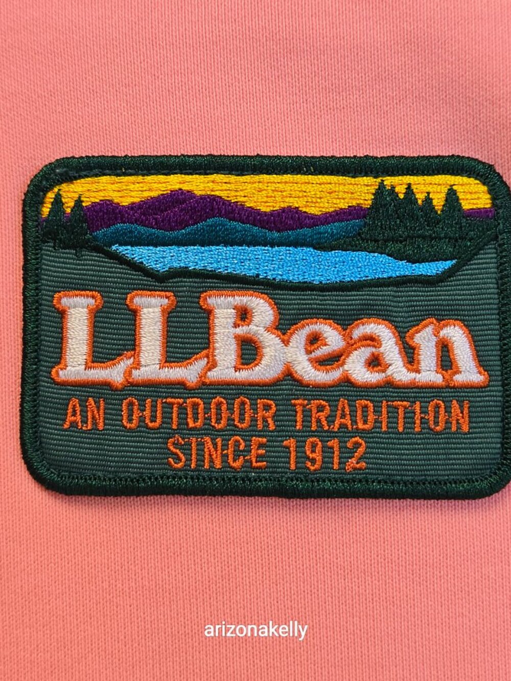 NWOT L.L. Bean x Todd Snyder *RARE* Pink Hoodie XS UNISEX - Picture 4 of 12